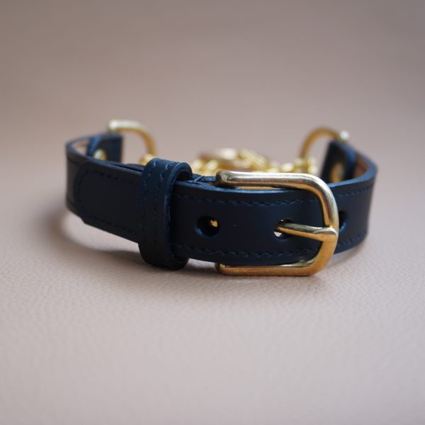 Slip-Chain Collar Back