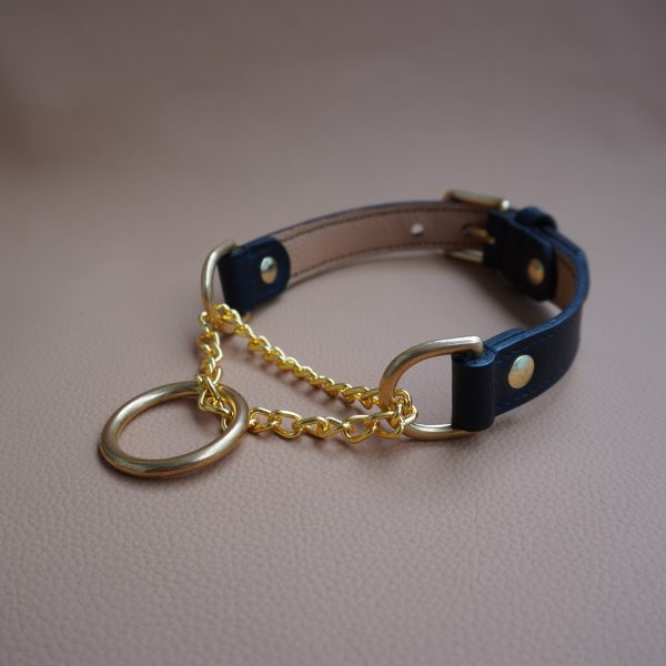 Slip-Chain Collar