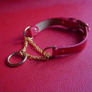 Slip-Chain Collar Red & Gold