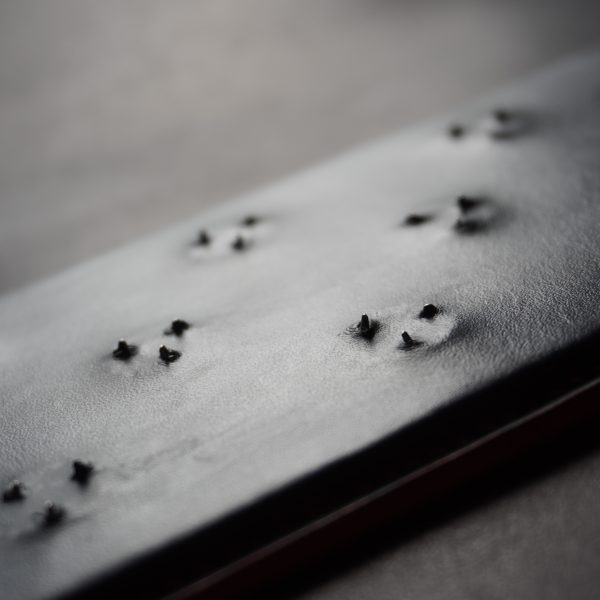 Spiked Paddle Closeup 1