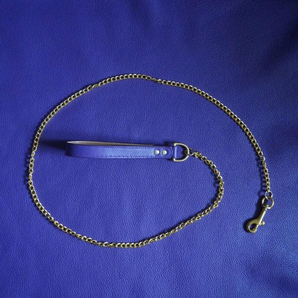 Purple and Gold Leash Top