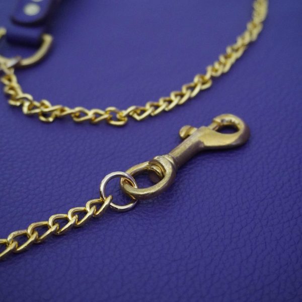 Purple and Gold Leash Carabiner