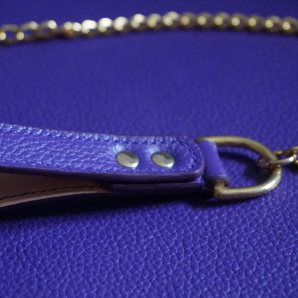 Purple and Gold Leash Closeup