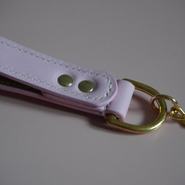 Pink and Gold Leash Closeup