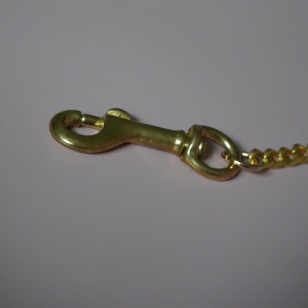 Pink and Gold Leash Carabiner