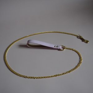 Pink and Gold Leash