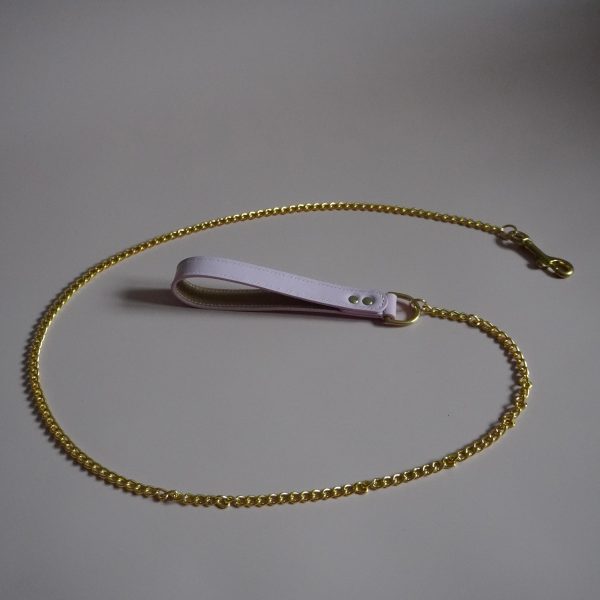 Pink and Gold Leash