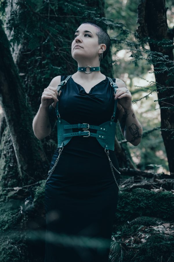 Schwarzwald Harness