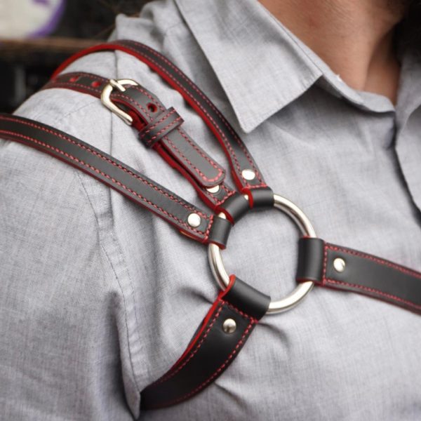 Thunersee Harness Closeup Front