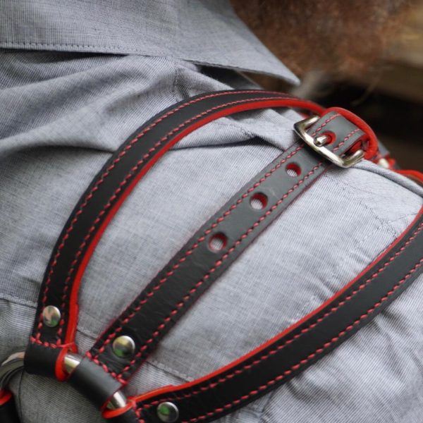 Thunersee Harness Closeup Back