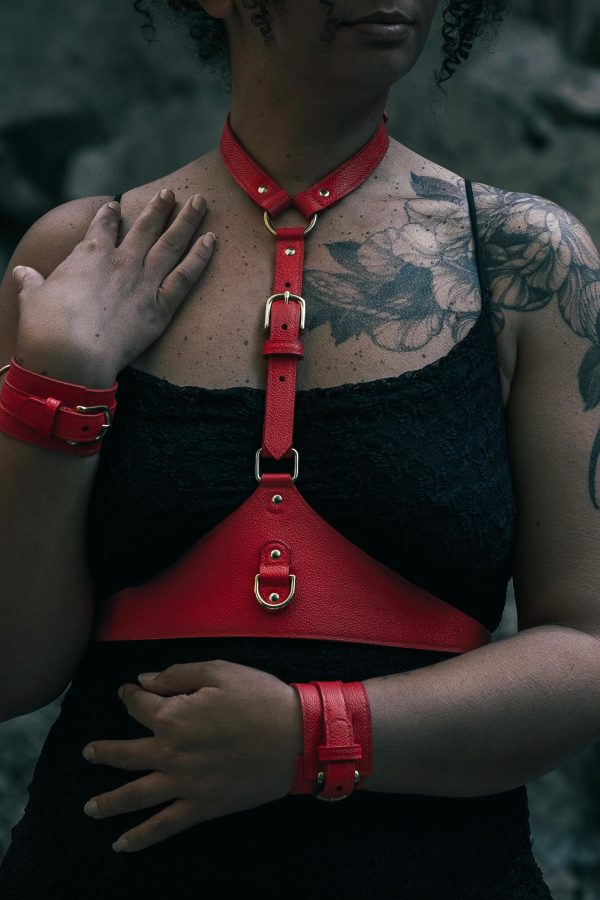 Maggiore Harness Closeup