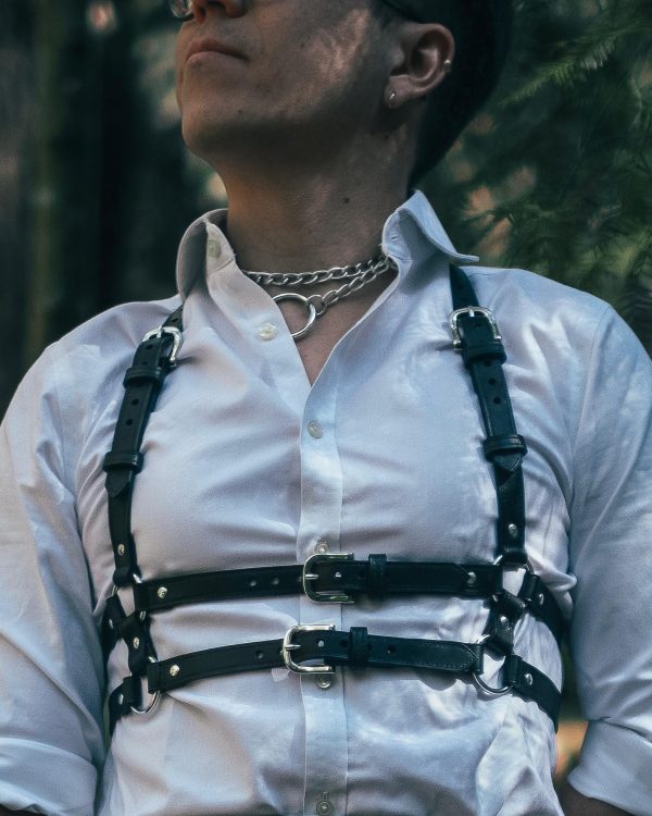 Zürisee Harness Front Closeup